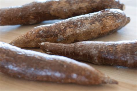 what is yuca root